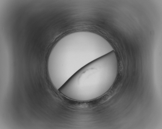 X0000113080600200908280949