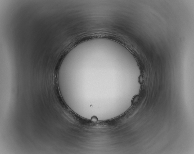 X0000113080601200908280949