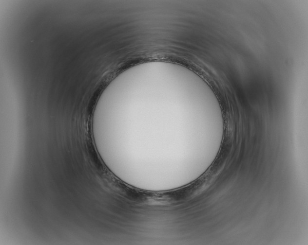 X0000113080603200908280949