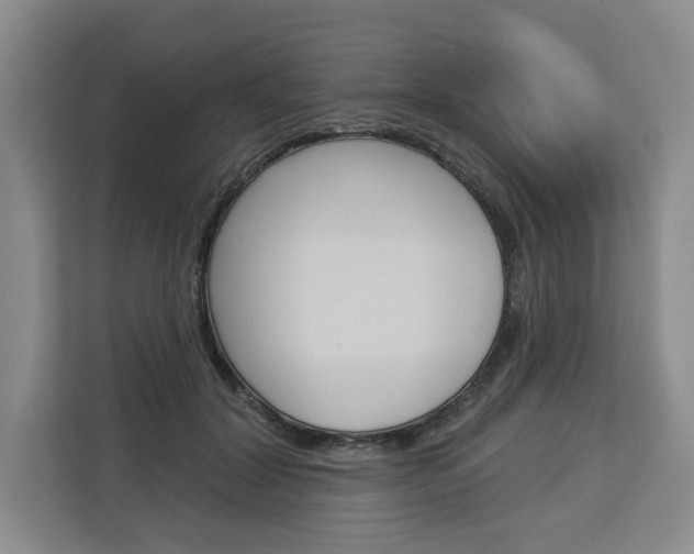 X0000113080604200908280949