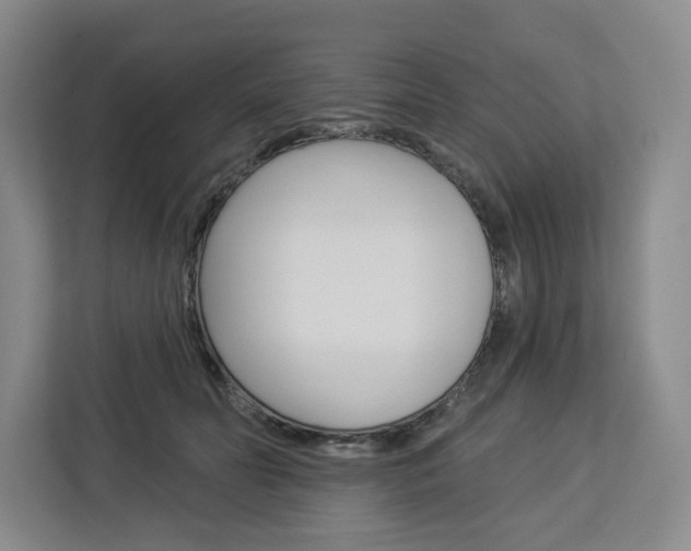 X0000113080606200908280948