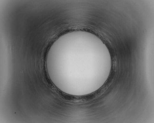 X0000113080608200908280948