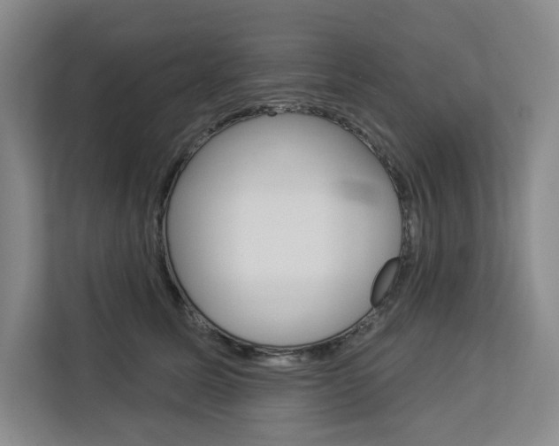 X0000113080611200908280948