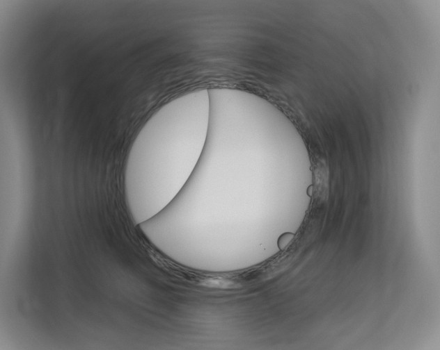 X0000113080614200908280948