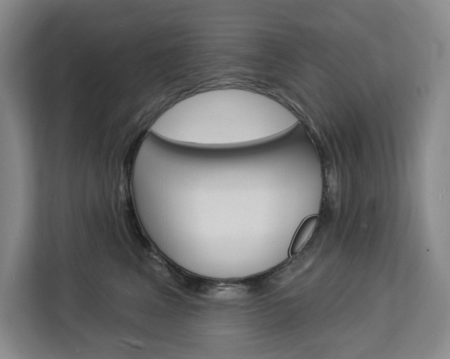 X0000113080617200908280948