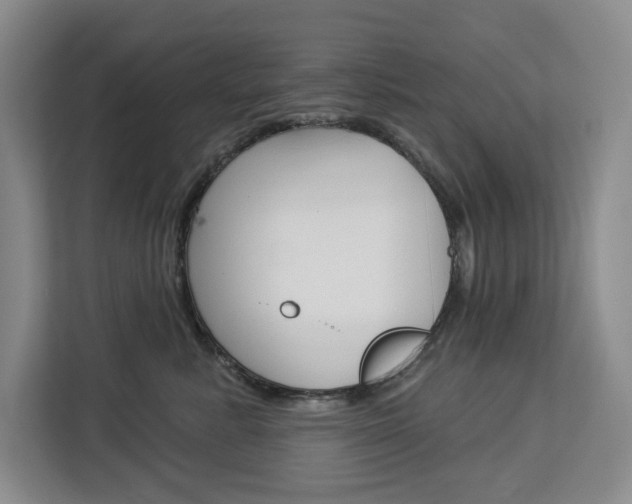 X0000113080619200908280948