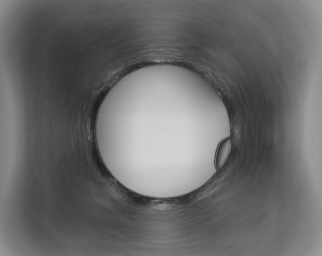 X0000113080620200908280948