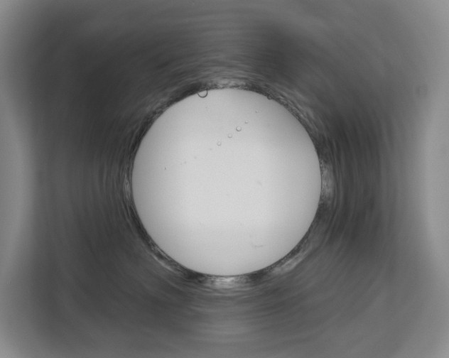 X0000113080622200908280948