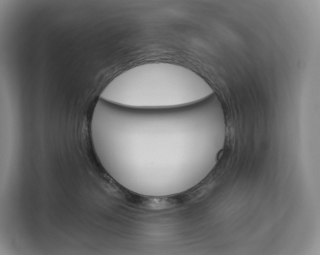 X0000113080623200908280948
