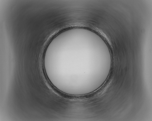 X0000113080625200908280948