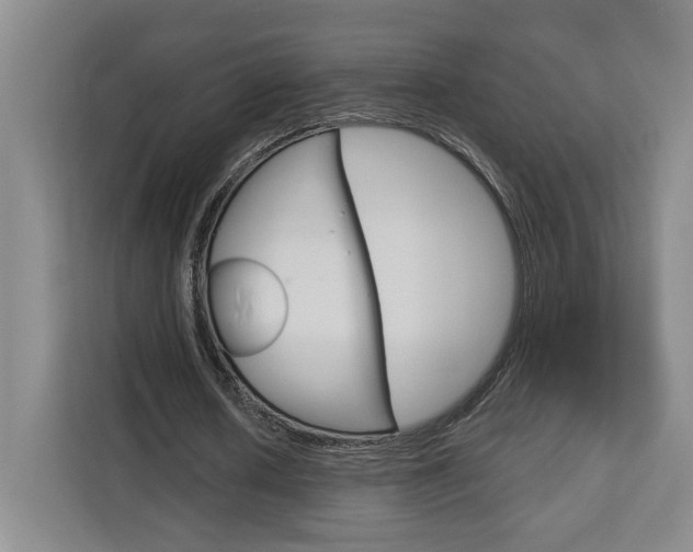 X0000113080626200908280948