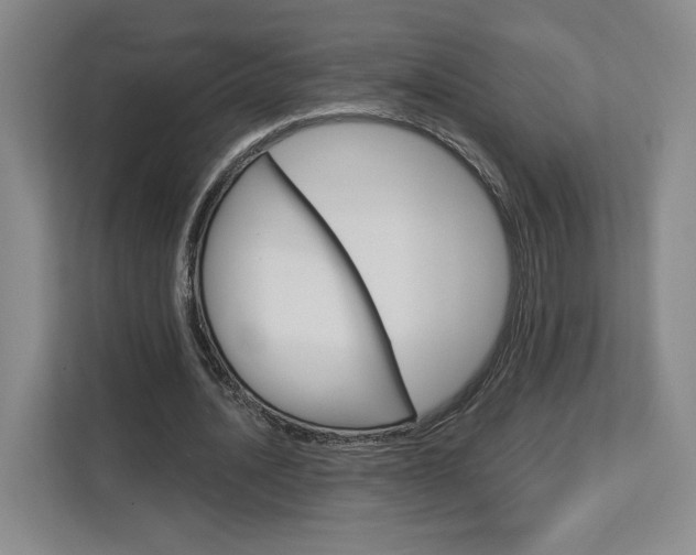 X0000113080628200908280948