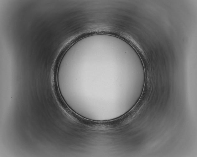 X0000113080629200908280948