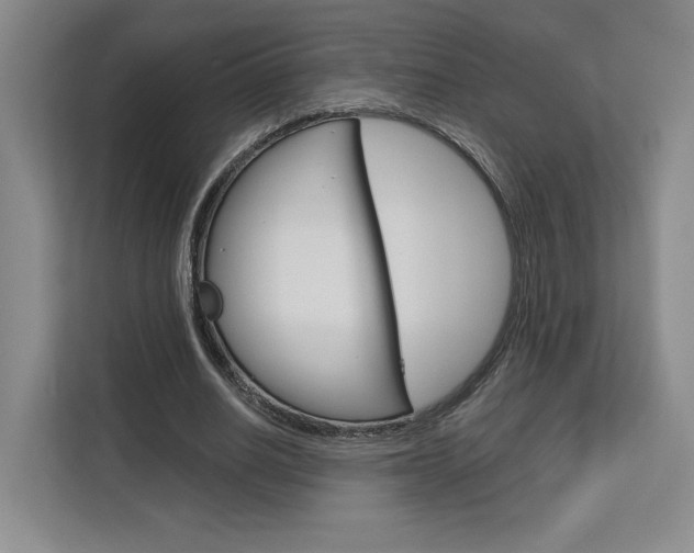 X0000113080630200908280948