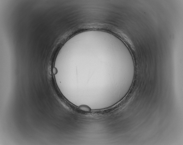 X0000113080633200908280948