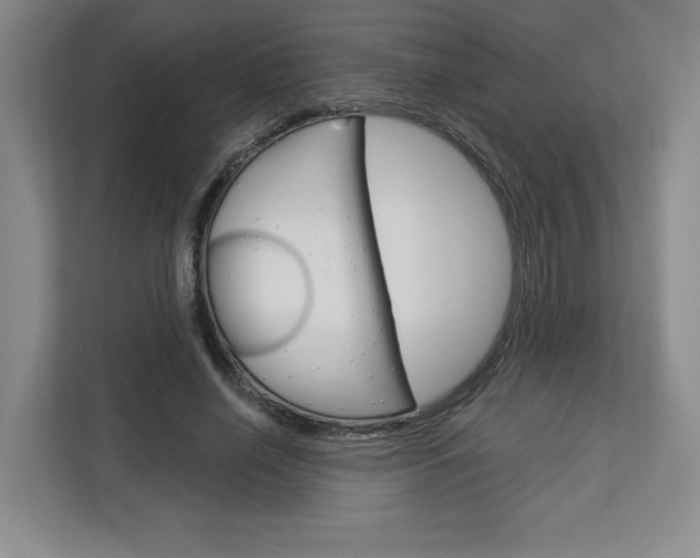 X0000113080638200908280948