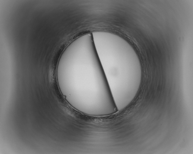 X0000113080641200908280948