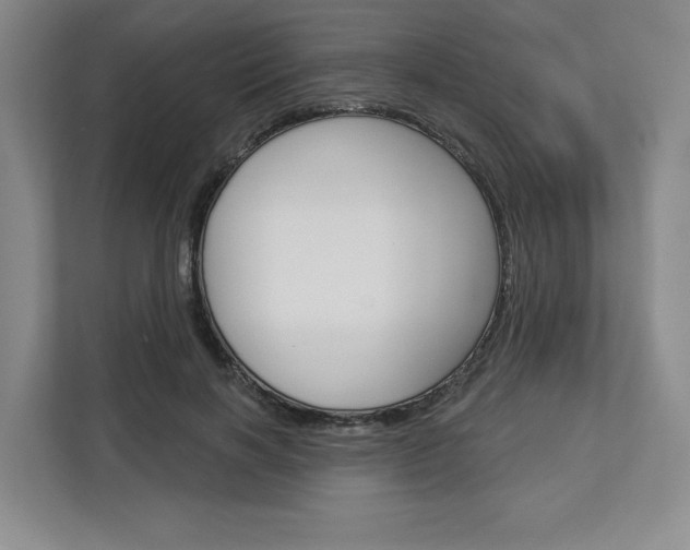 X0000113080646200908280948