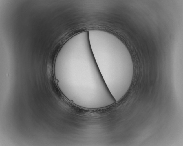X0000113080648200908280948