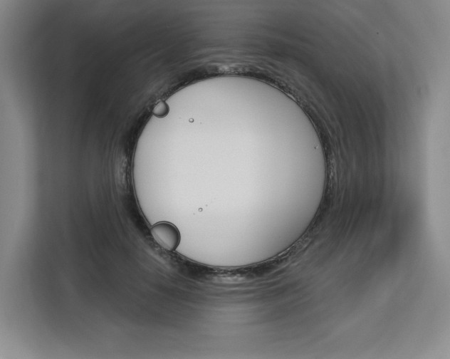X0000113080650200908280948