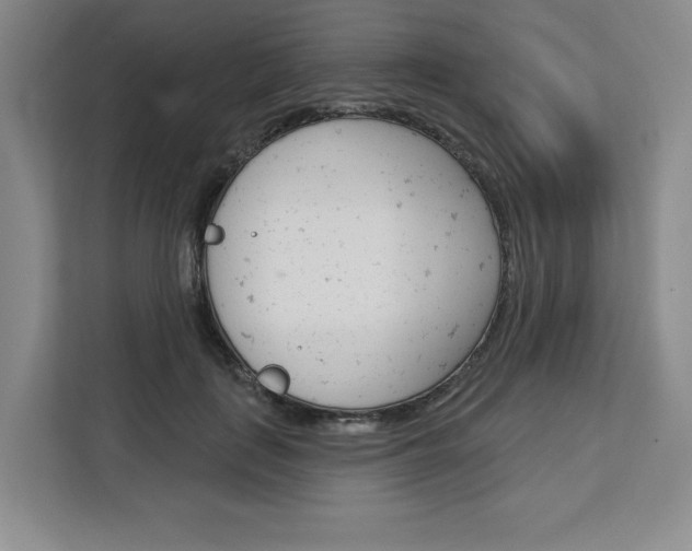 X0000113080651200908280948