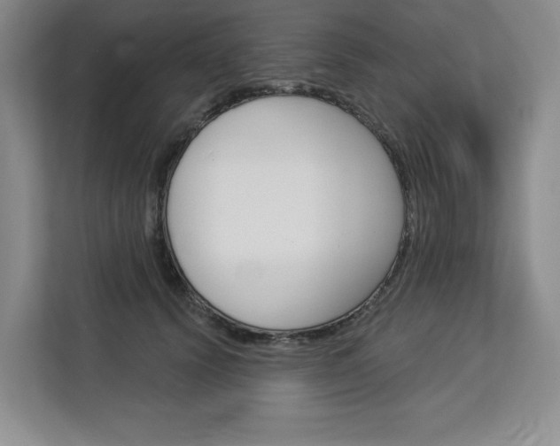 X0000113080656200908280948
