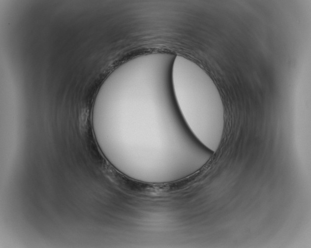 X0000113080660200908280948