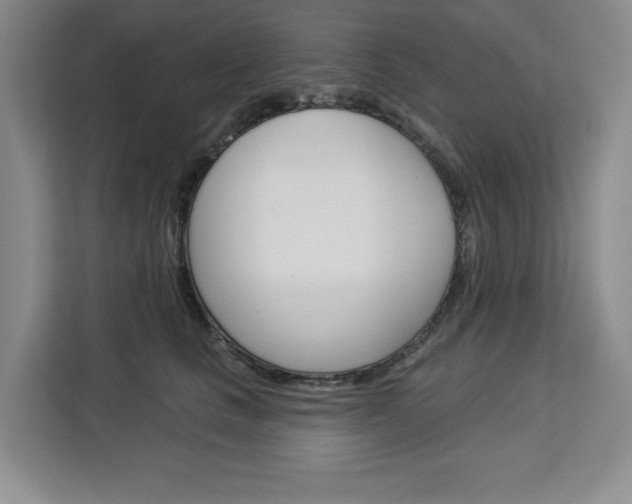 X0000113080661200908280948
