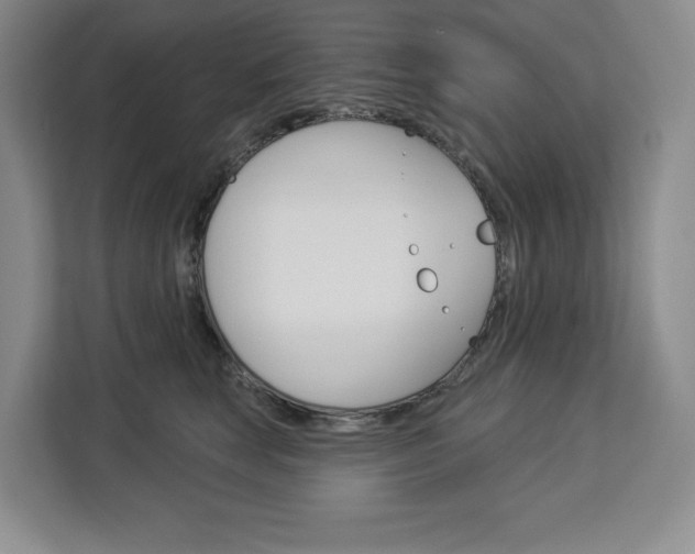 X0000113080663200908280948