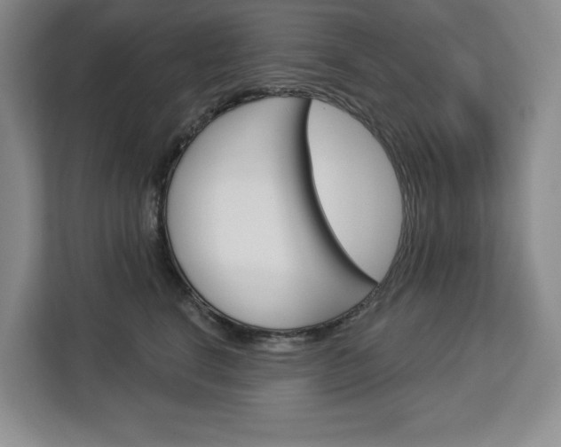 X0000113080664200908280948