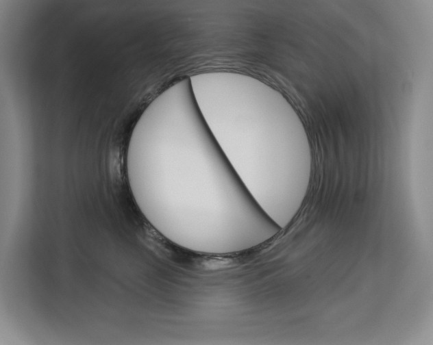 X0000113080669200908280948