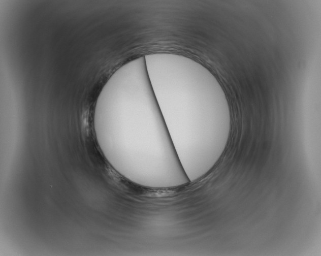X0000113080670200908280948