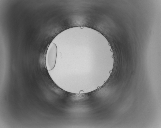 X0000113080672200908280948