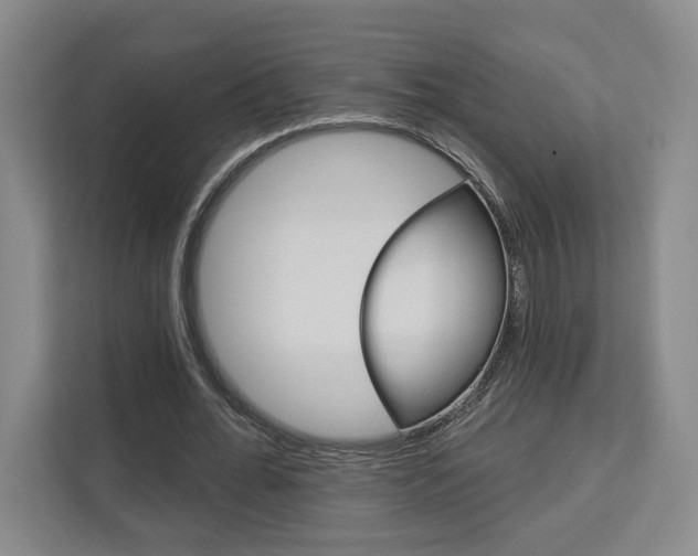 X0000113080676200908280948