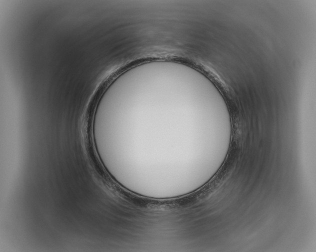 X0000113080679200908280948
