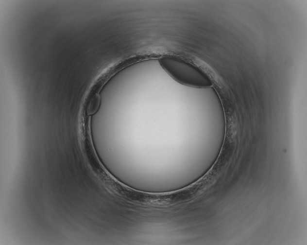 X0000113080680200908280948