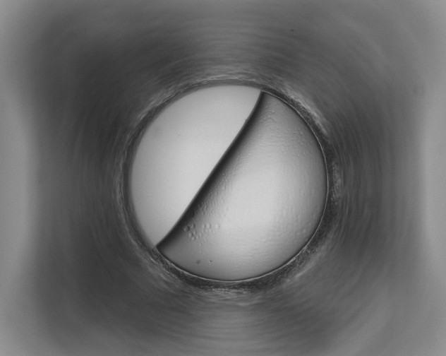 X0000113080681200908280948