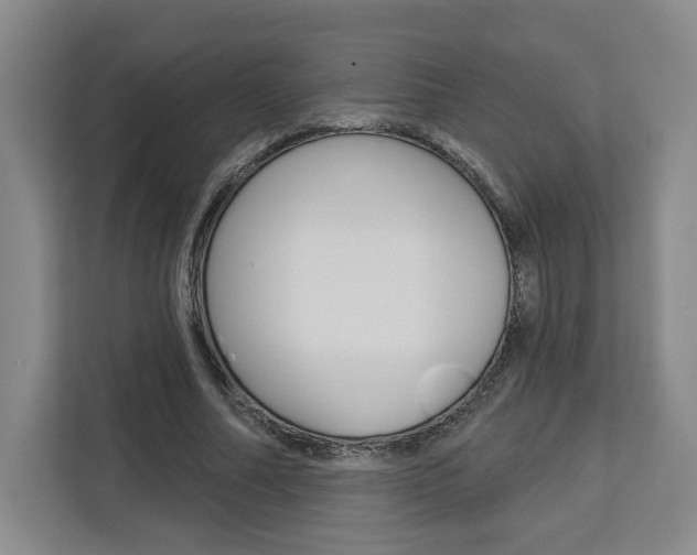 X0000113080682200908280948