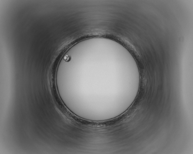 X0000113080683200908280947