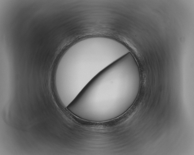 X0000113080685200908280947