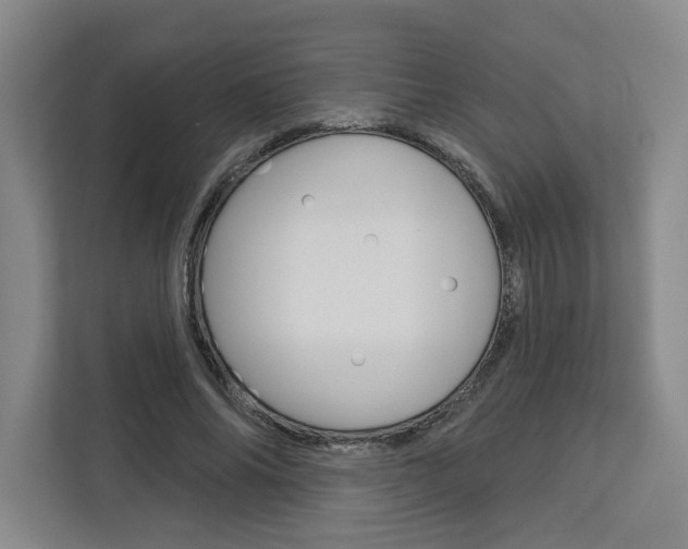 X0000113080686200908280947