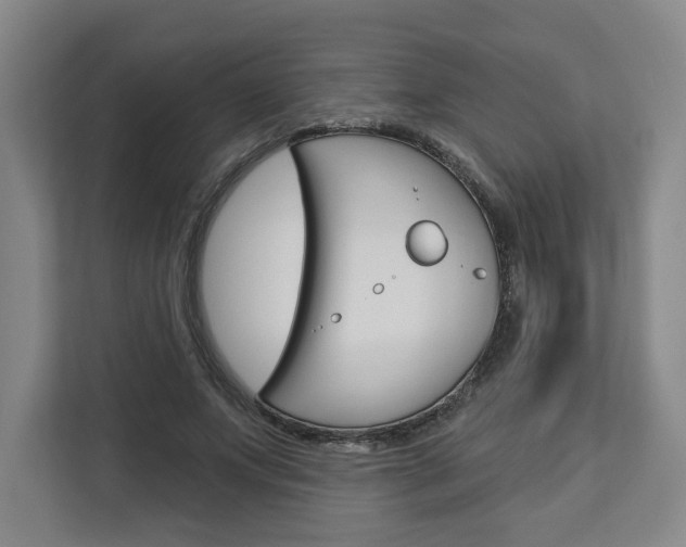 X0000113080687200908280947