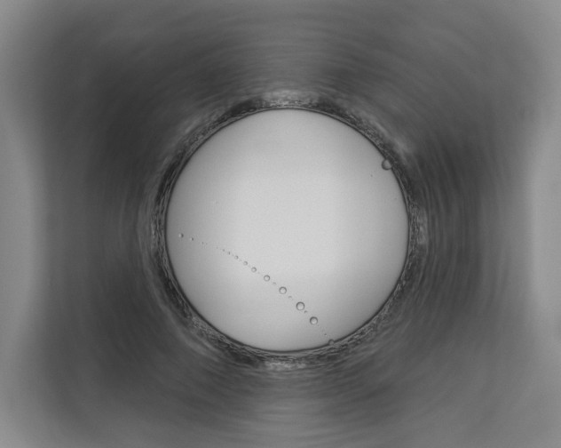X0000113080690200908280947