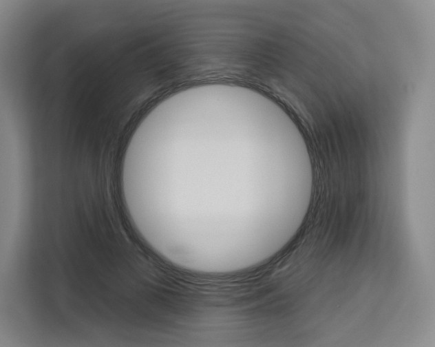 X0000113080693200908280947