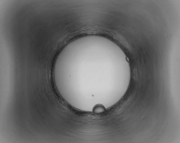 X0000113080697200908280947
