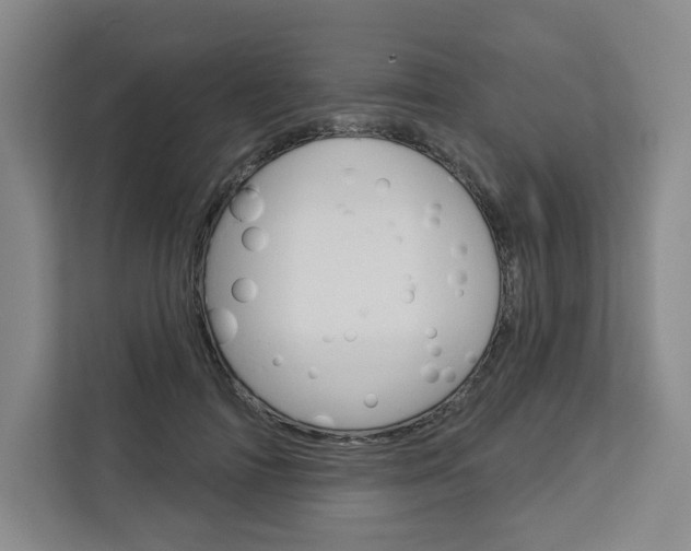 X0000113080698200908280947
