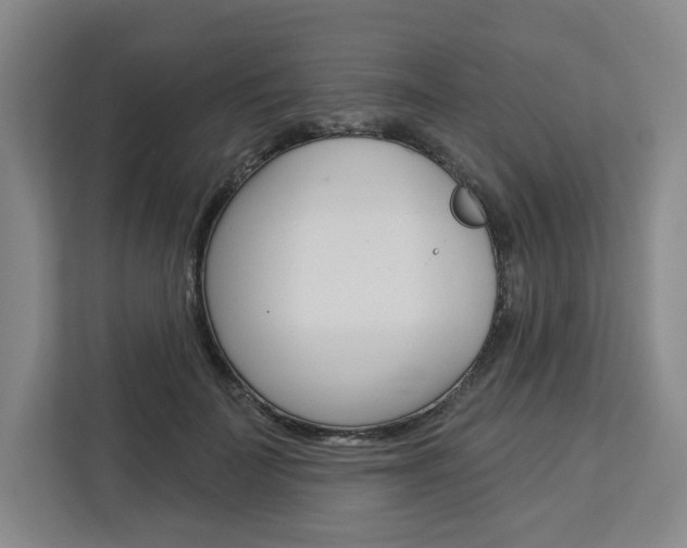 X0000113080699200908280947