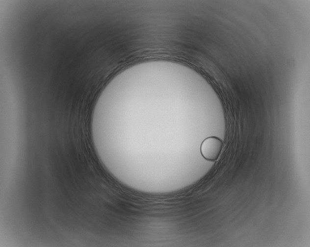 X0000113080700200908280947