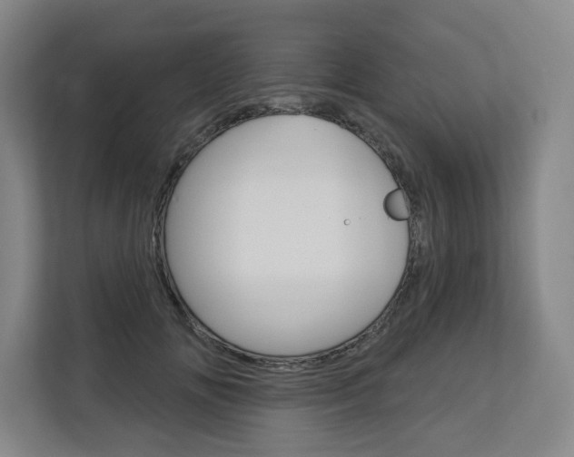 X0000113080702200908280947
