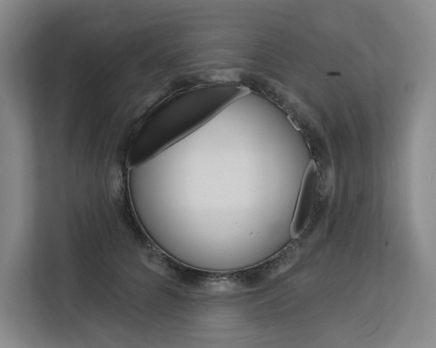 X0000113080704200908280947